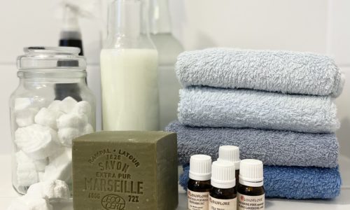 Pourquoi faire ses produits ménagers maison ?