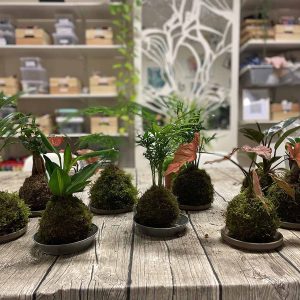 Des ateliers plantes pour mettre les mains dans la terre