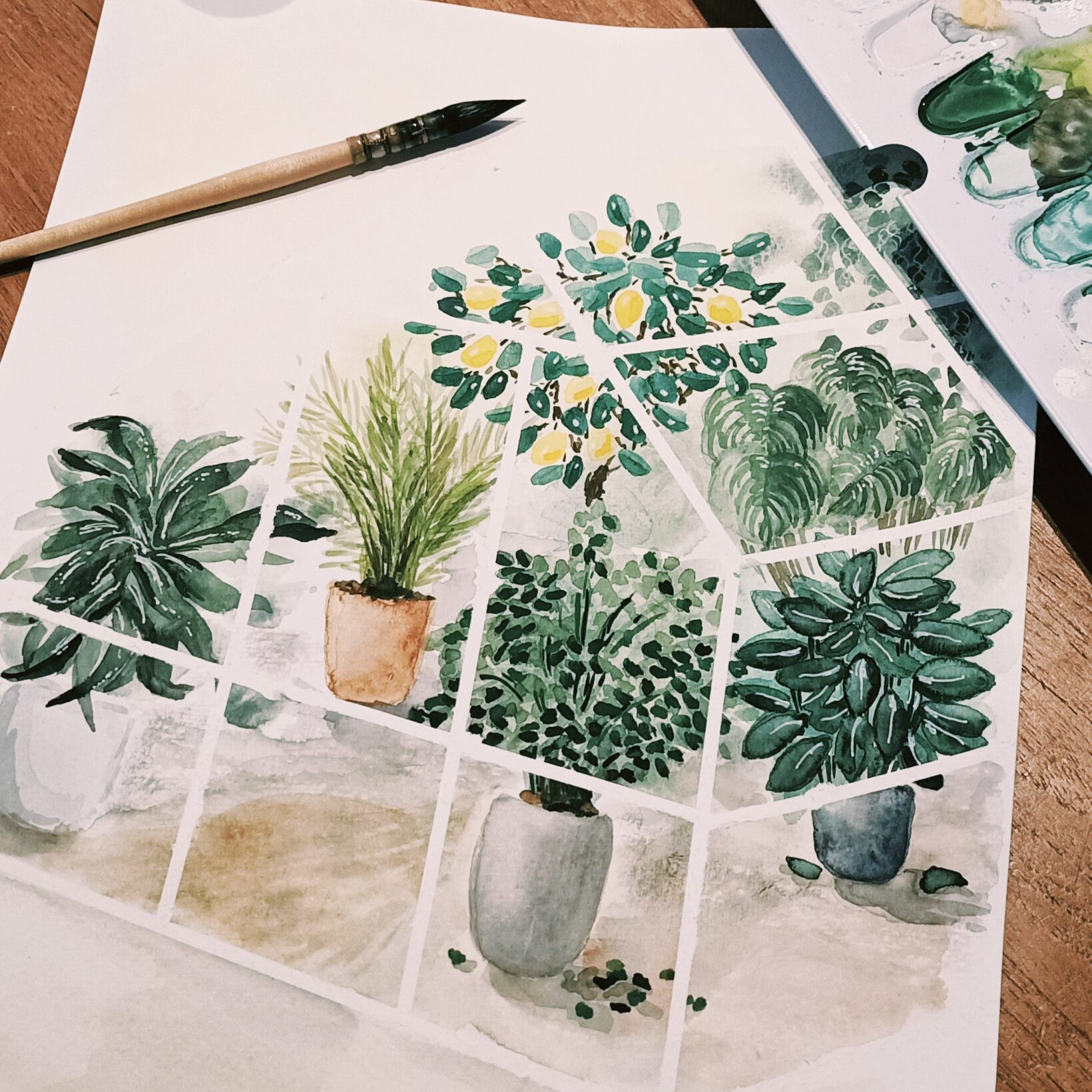 Aquarelle - Anne Breyne