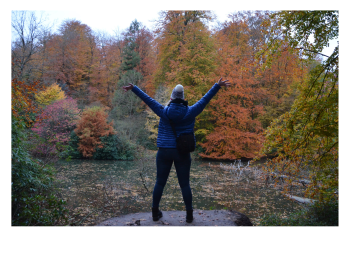 Retraite créative d'automne